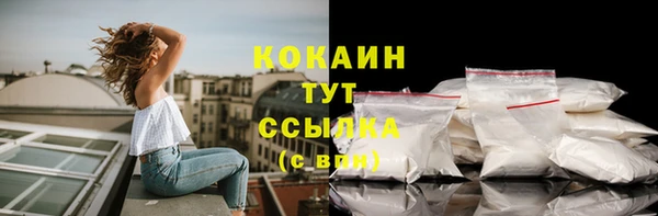 альфа пвп Бородино