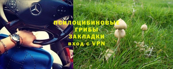 альфа пвп Бородино