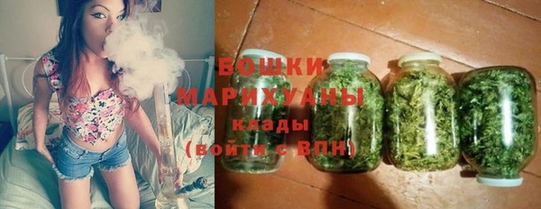 альфа пвп Бородино