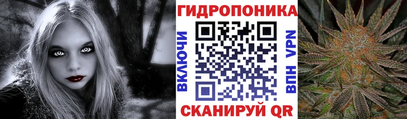 продажа наркотиков  omg вход  Каннабис Amnesia  Кирово-Чепецк 